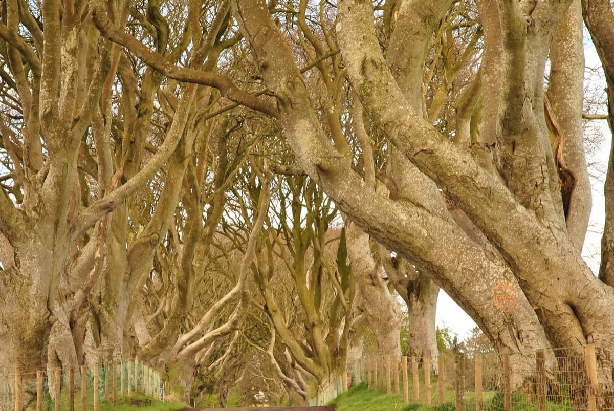 Game of Thrones Filming Locations Tour